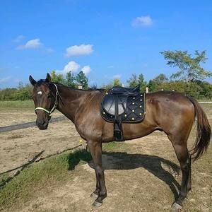 Meet your Posher, Tanja